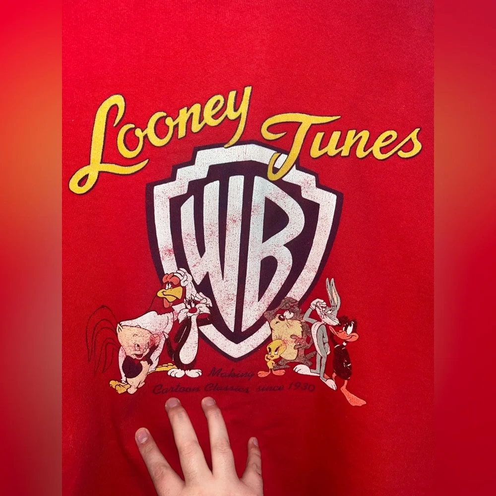 Warner Bros VTG 90s XXL Looney Tunes Crewneck Sweatshirt Bugs Taz Graphic Print
